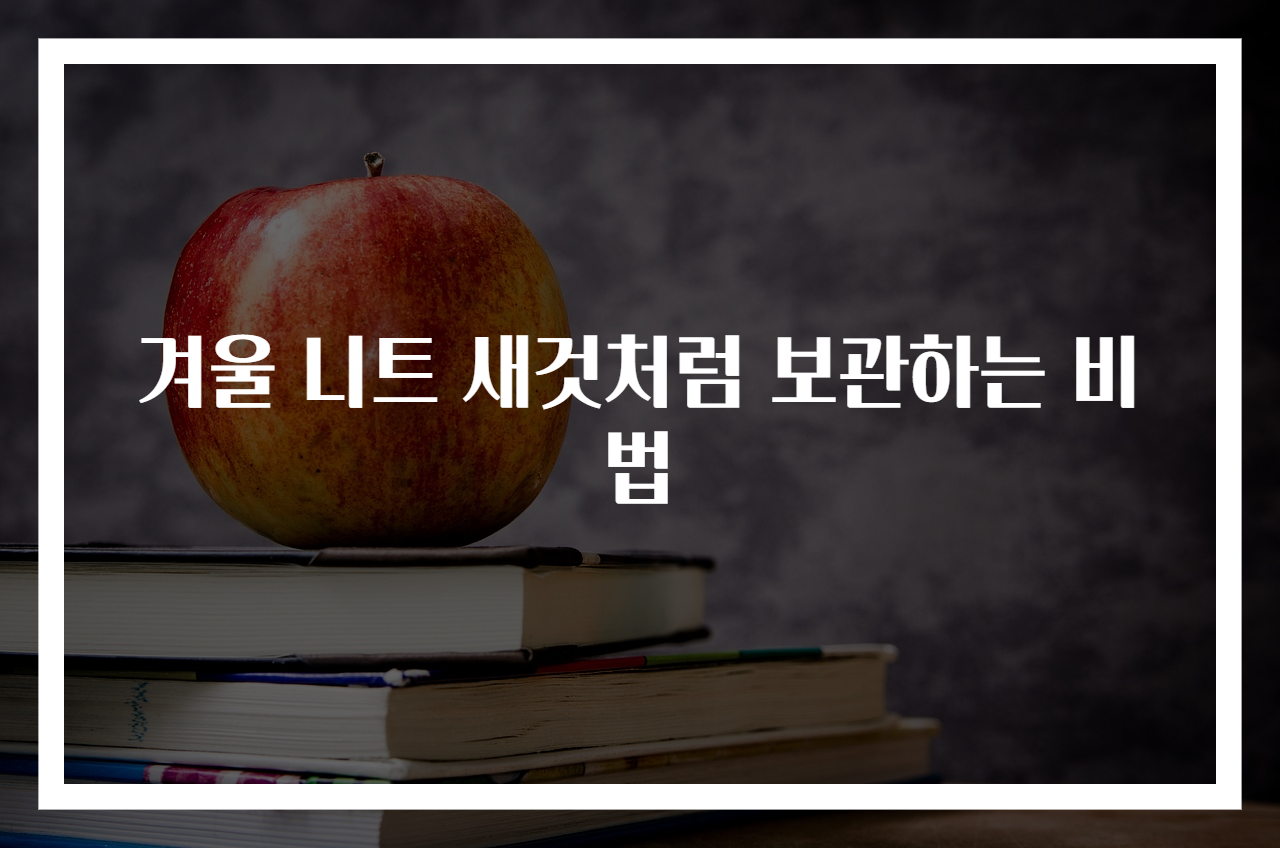 겨울 니트 새것처럼 보관하는 비법