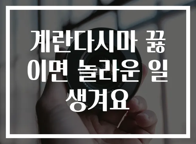 계란다시마 끓이면 놀라운 일 생겨요