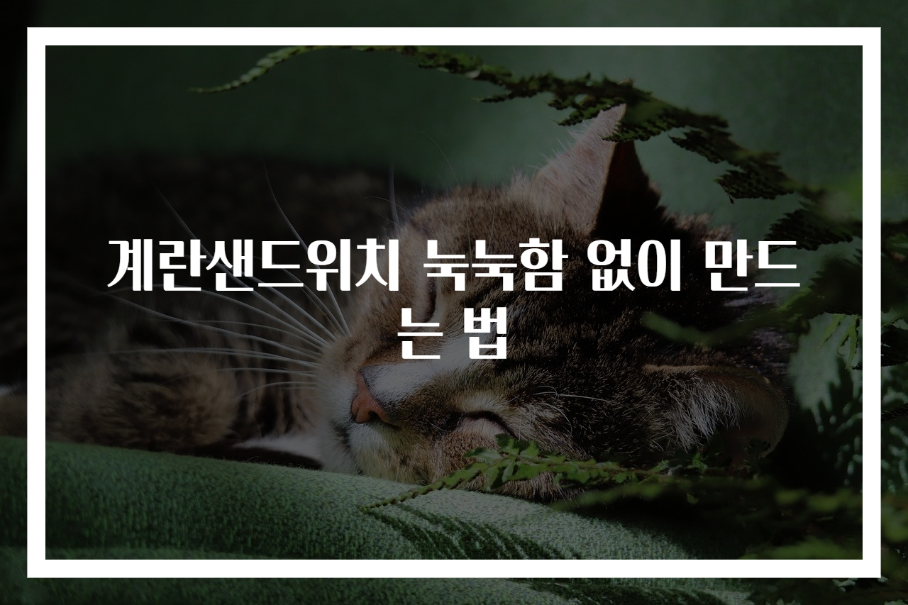 계란샌드위치 눅눅함 없이 만드는 법