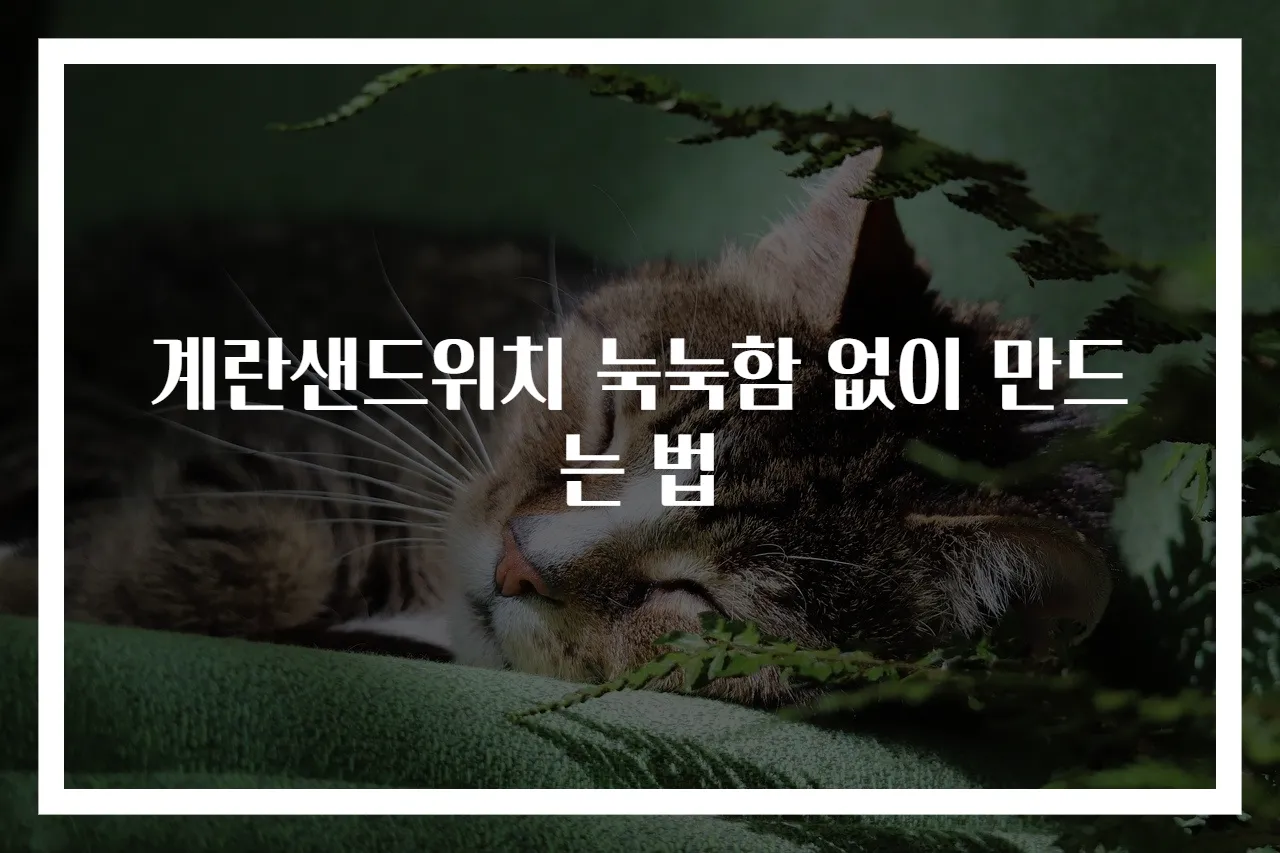 계란샌드위치 눅눅함 없이 만드는 법