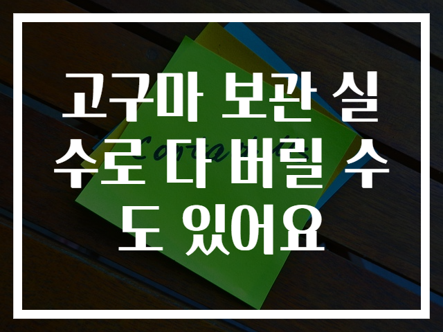 고구마 보관 실수로 다 버릴 수도 있어요