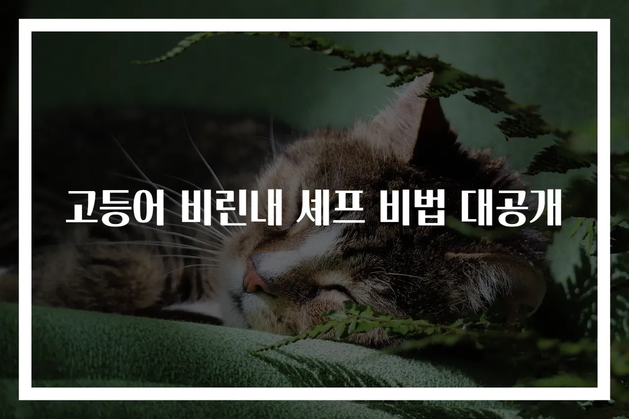 고등어 비린내 셰프 비법 대공개