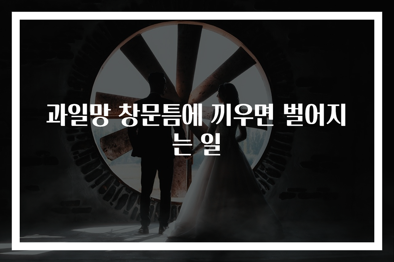 과일망 창문틈에 끼우면 벌어지는 일