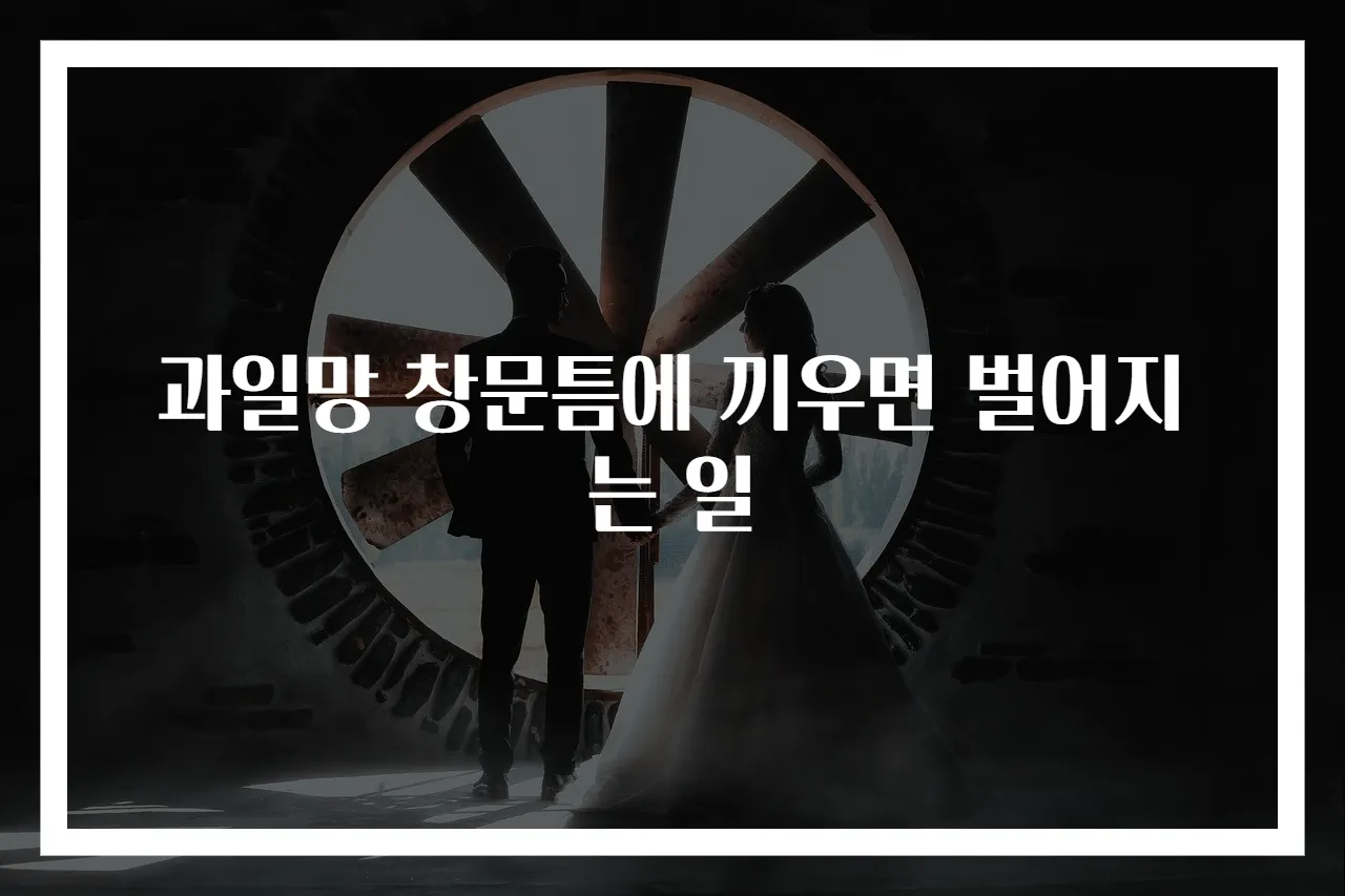 과일망 창문틈에 끼우면 벌어지는 일