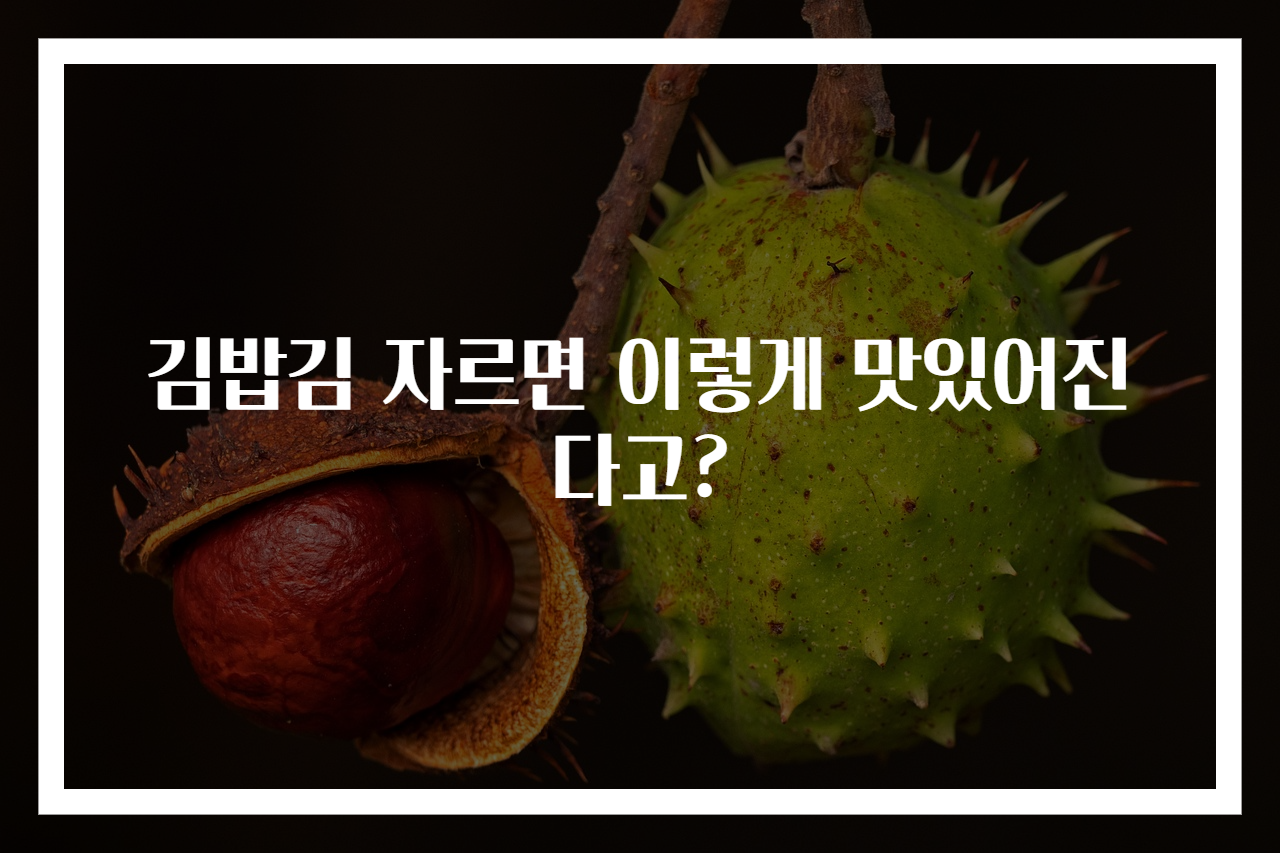 김밥김 자르면 이렇게 맛있어진다고?