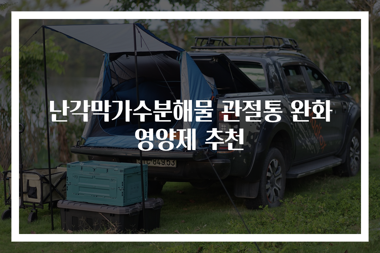 난각막가수분해물 관절통 완화 영양제 추천