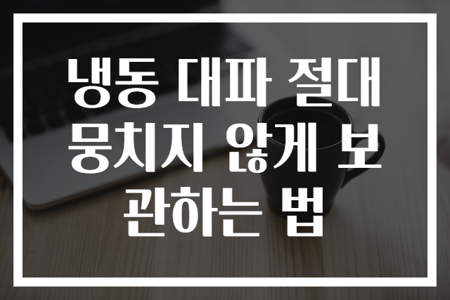 냉동 대파 절대 뭉치지 않게 보관하는 법