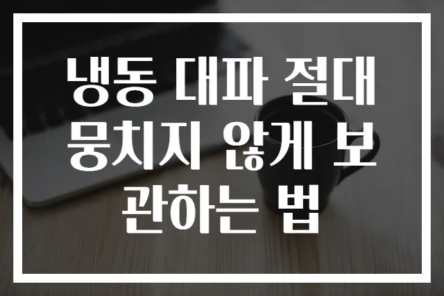 냉동 대파 절대 뭉치지 않게 보관하는 법
