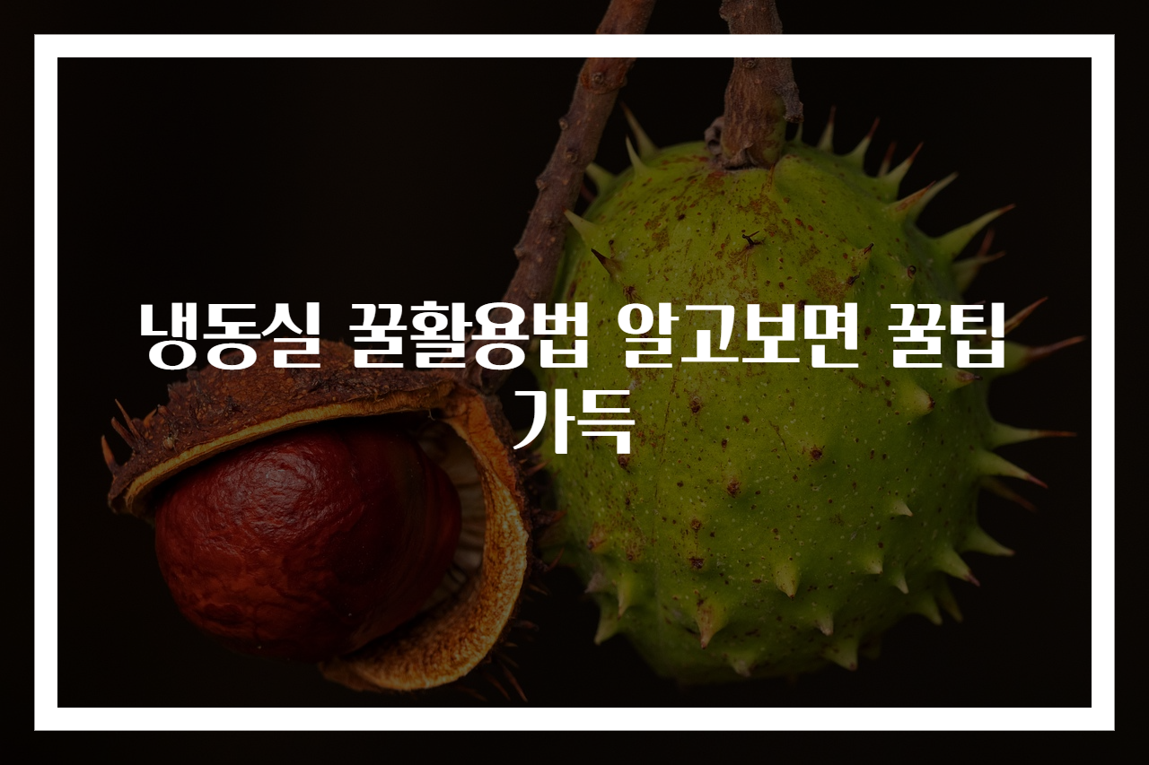 냉동실 꿀활용법 알고보면 꿀팁 가득