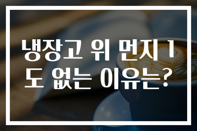 냉장고 위 먼지 1도 없는 이유는?