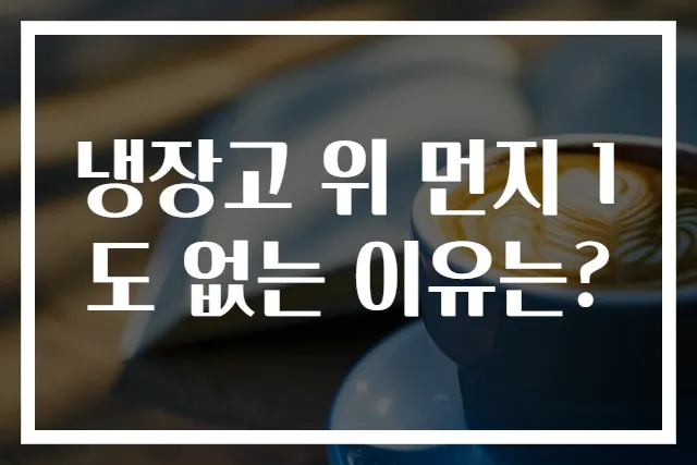냉장고 위 먼지 1도 없는 이유는?
