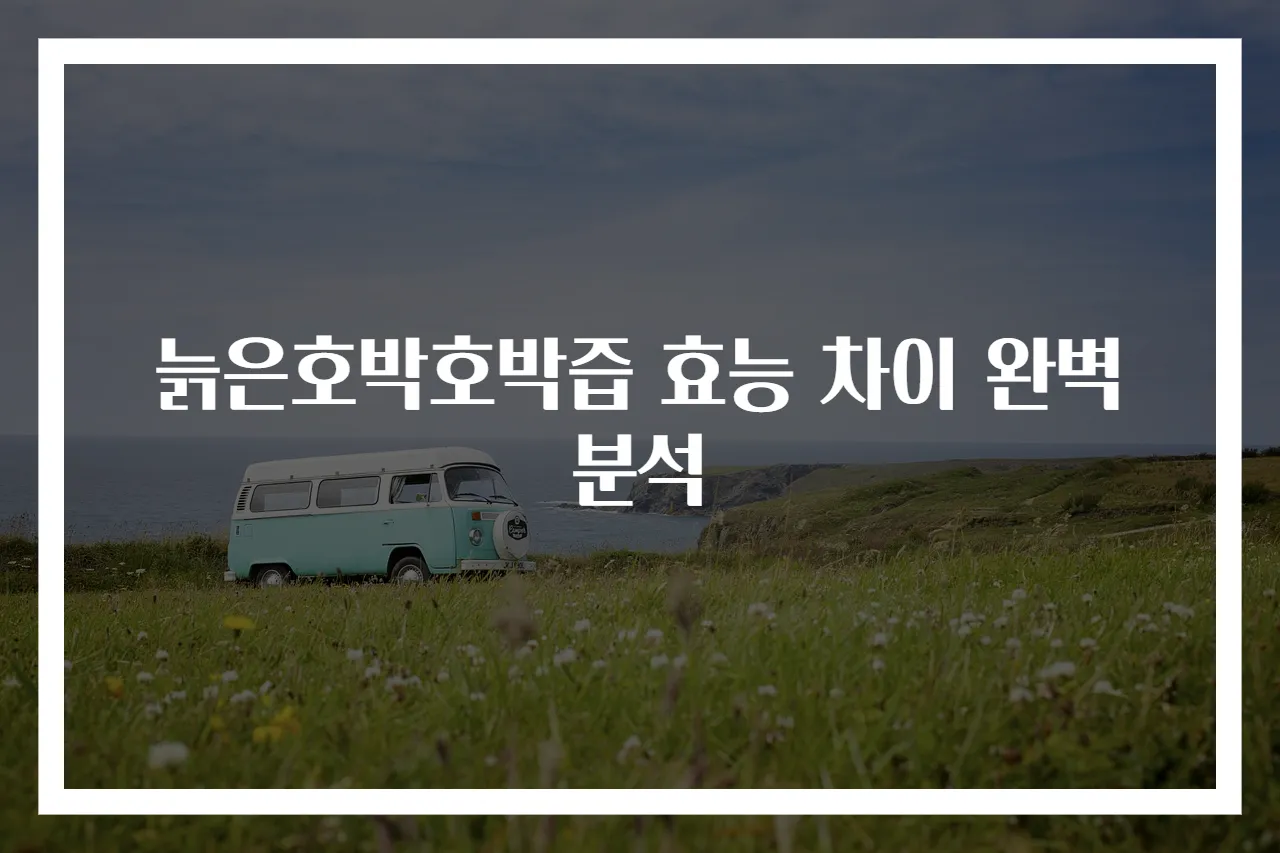 늙은호박호박즙 효능 차이 완벽 분석