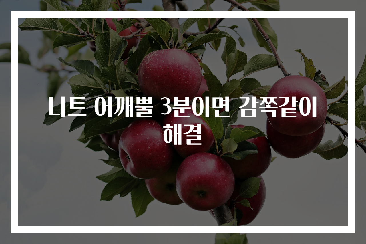 니트 어깨뿔 3분이면 감쪽같이 해결
