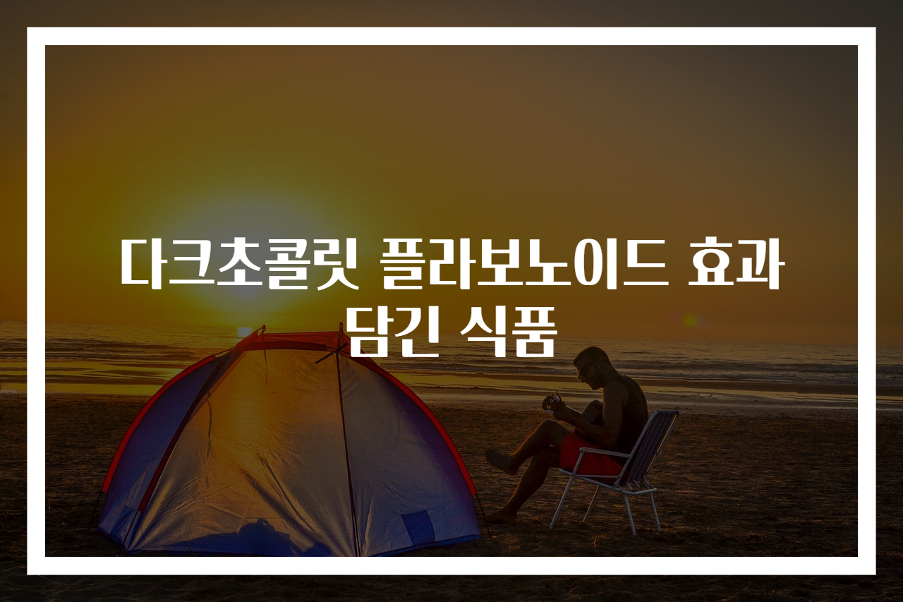 다크초콜릿 플라보노이드 효과 담긴 식품