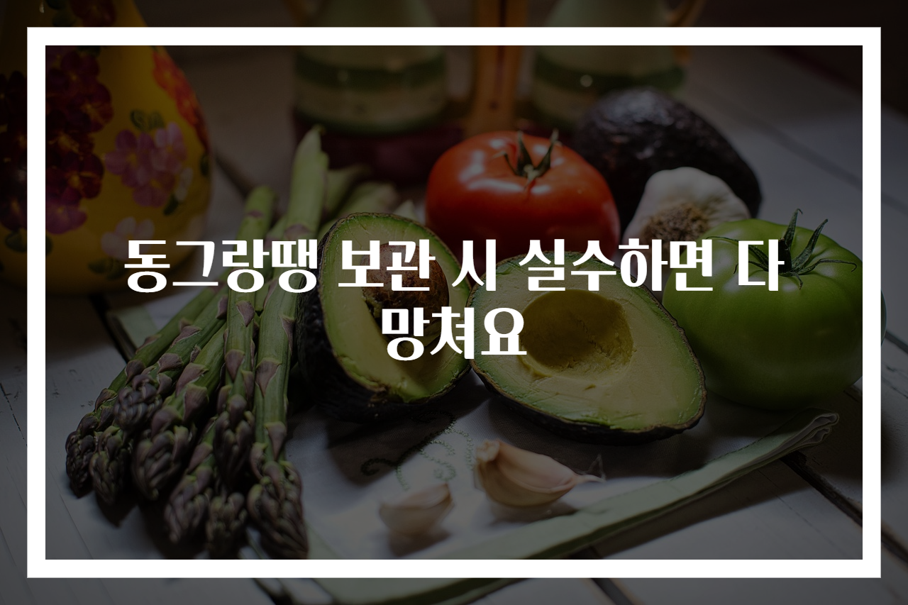 동그랑땡 보관 시 실수하면 다 망쳐요