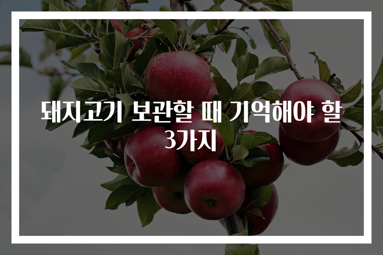 돼지고기 보관할 때 기억해야 할 3가지