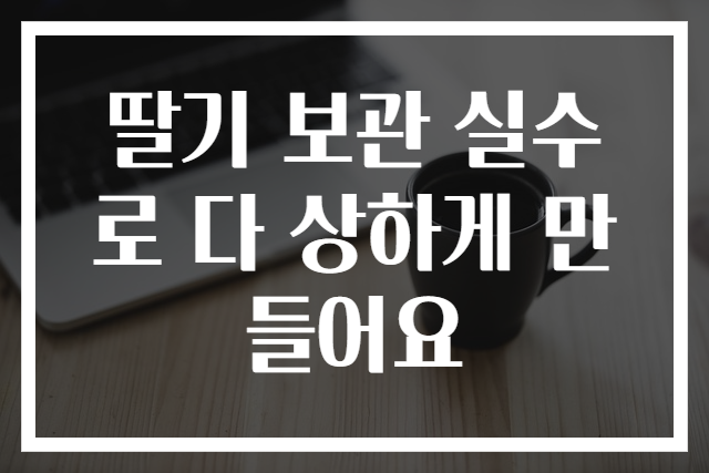 딸기 보관 실수로 다 상하게 만들어요