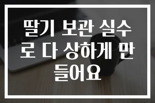 딸기 보관 실수로 다 상하게 만들어요
