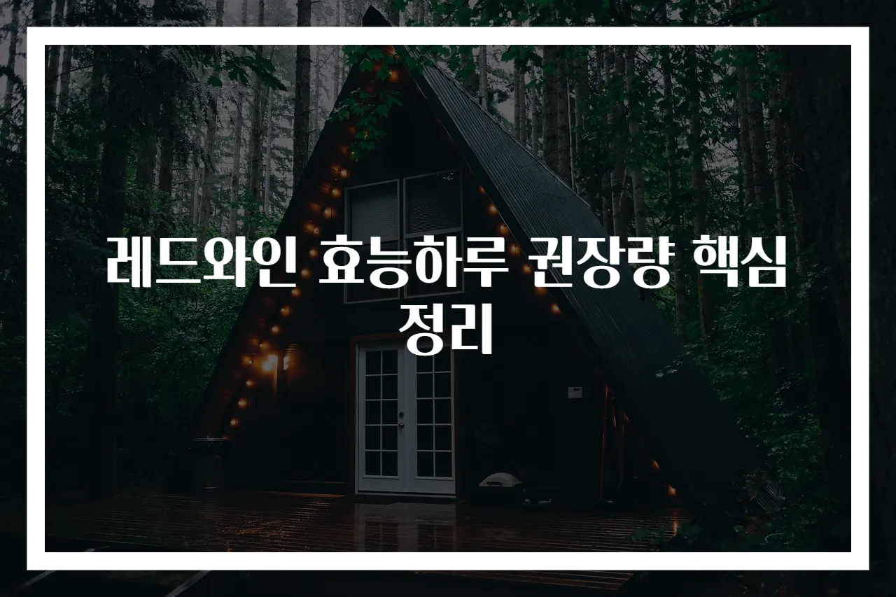 레드와인 효능하루 권장량 핵심정리