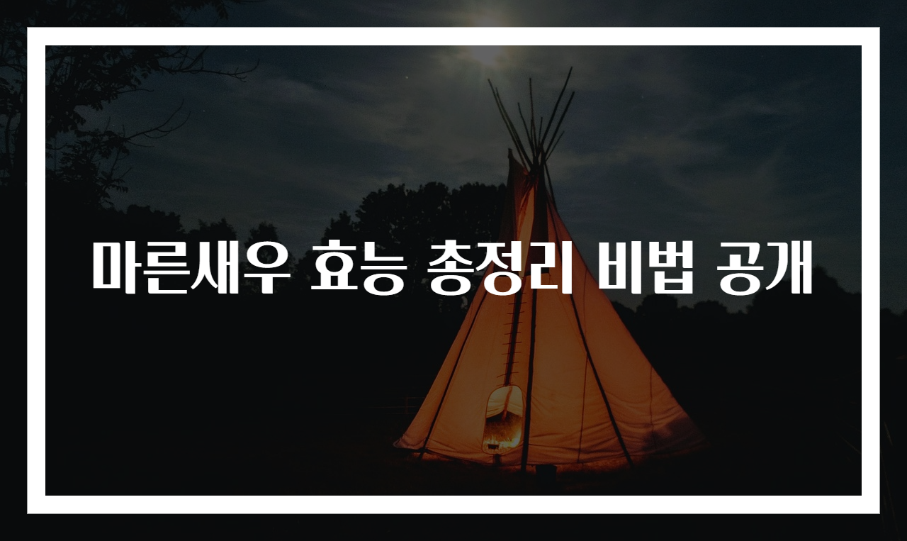 마른새우 효능 총정리 비법 공개