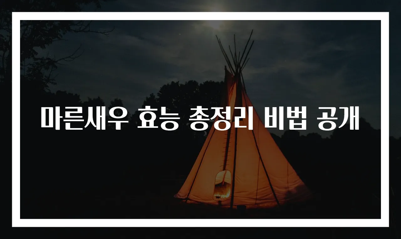 마른새우 효능 총정리 비법 공개