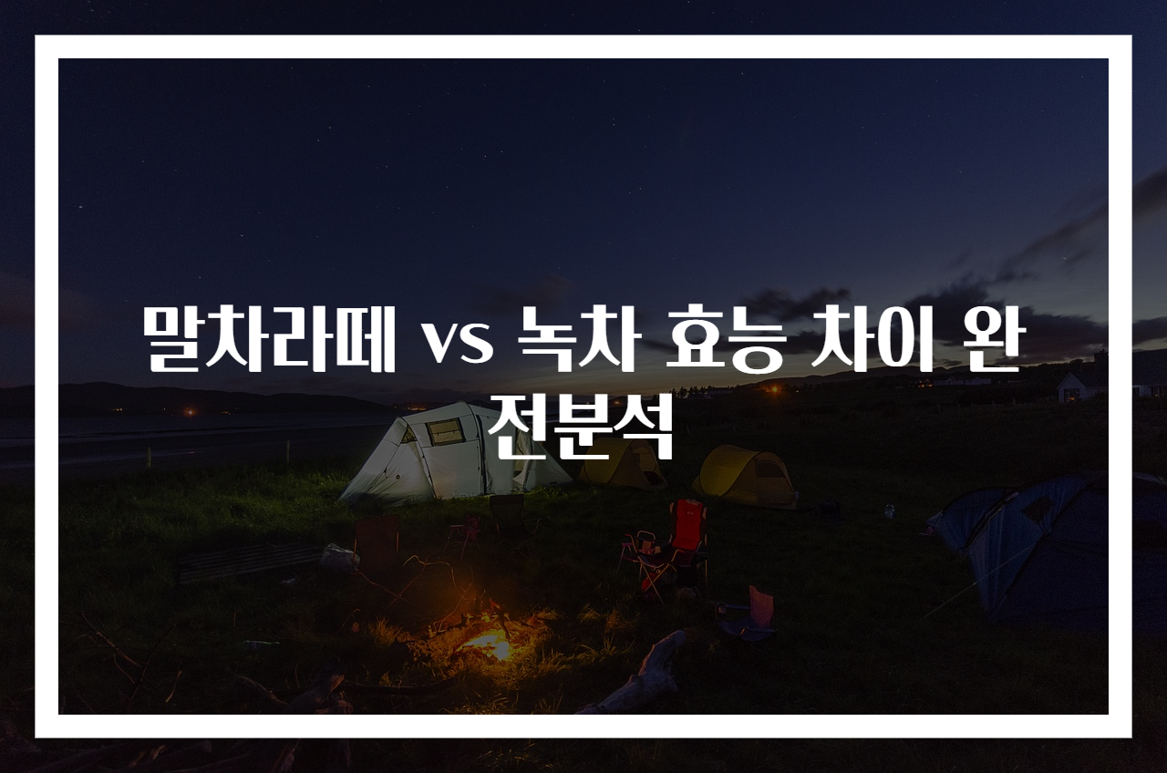 말차라떼 vs 녹차 효능 차이 완전분석