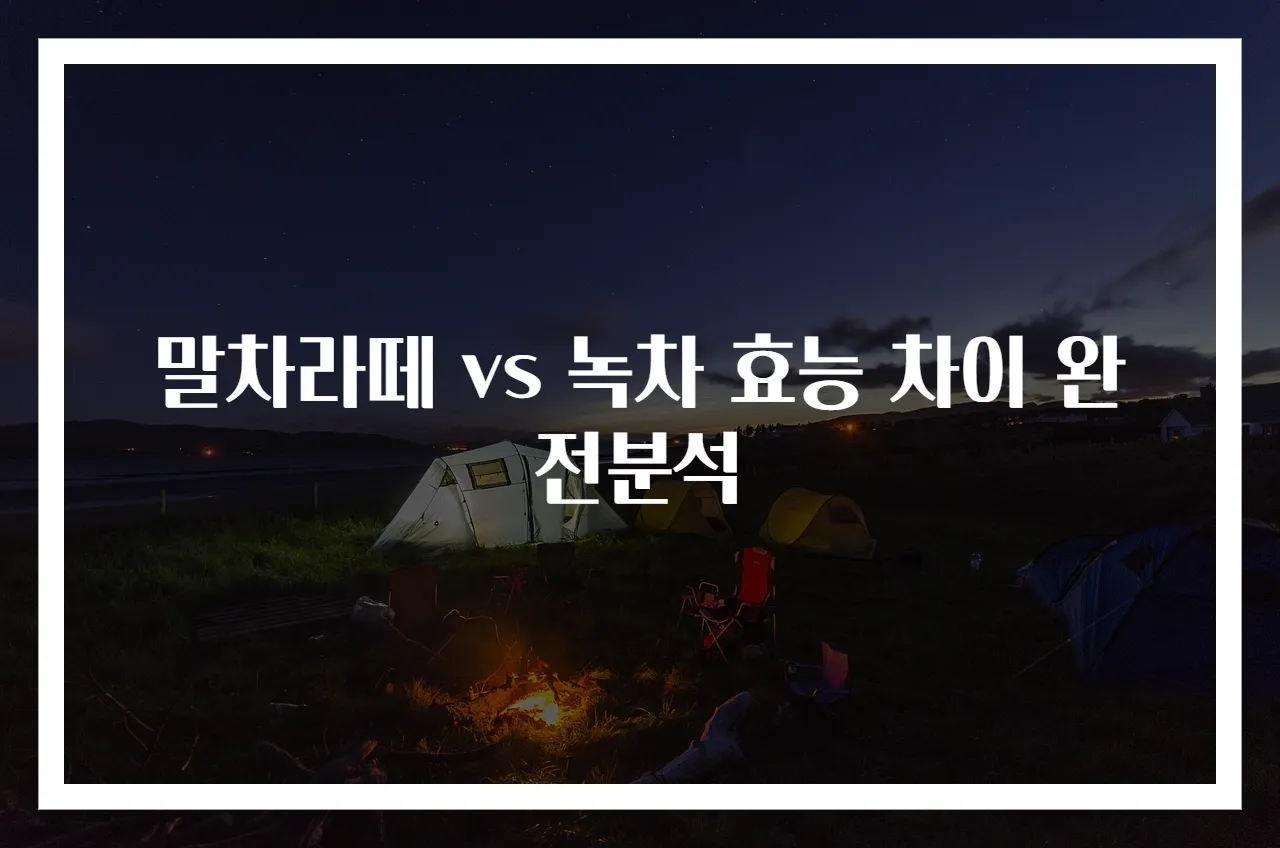말차라떼 vs 녹차 효능 차이 완전분석