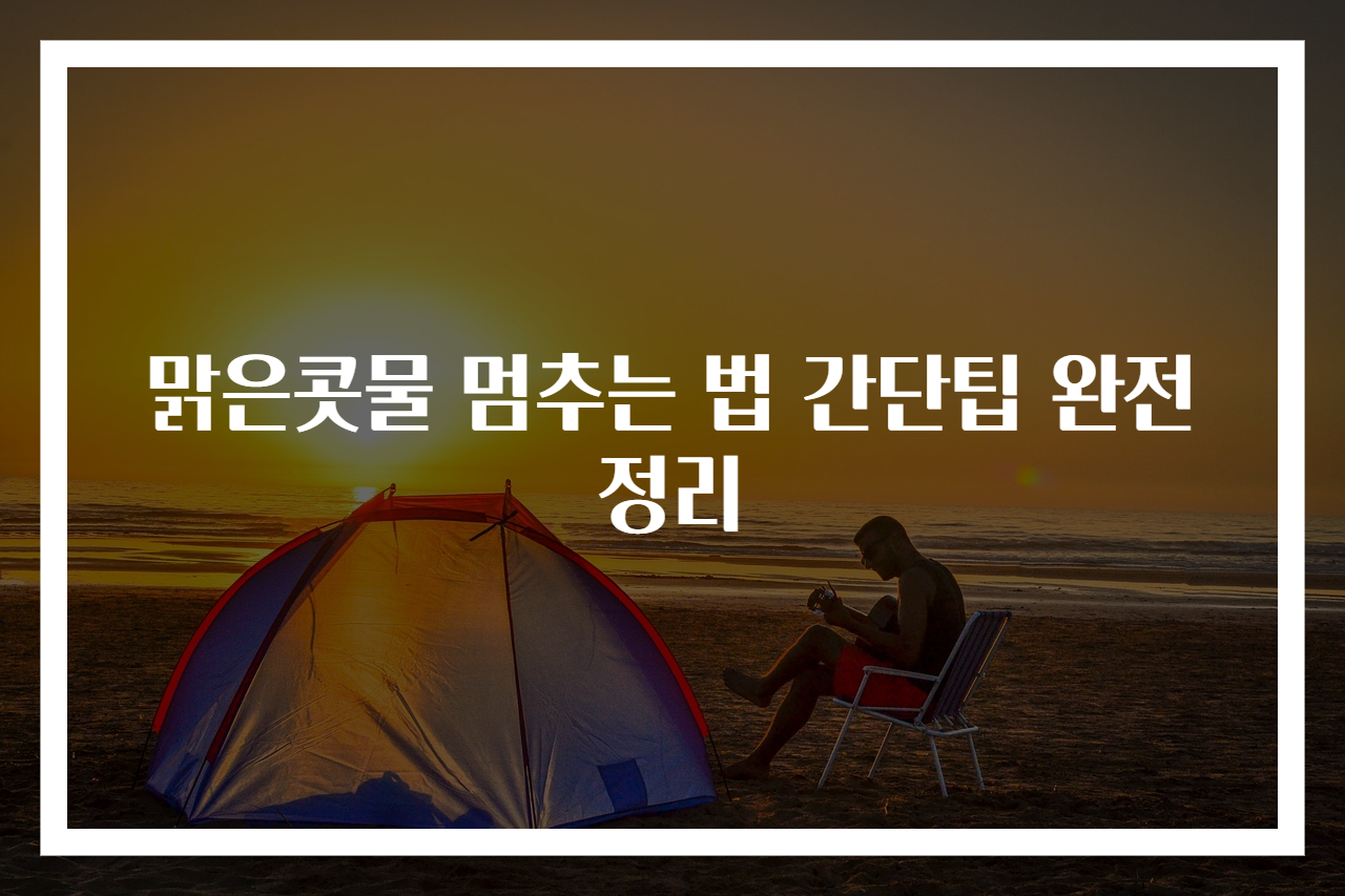 맑은콧물 멈추는 법 간단팁 완전정리