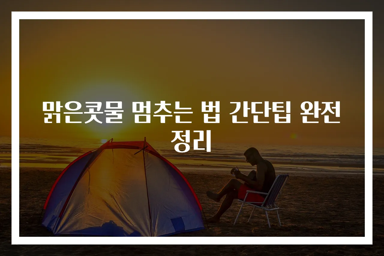 맑은콧물 멈추는 법 간단팁 완전정리