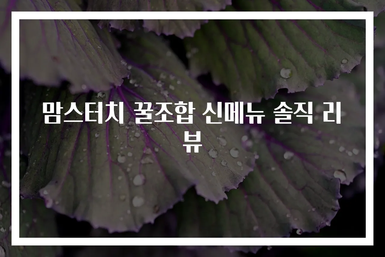 맘스터치 꿀조합 신메뉴 솔직 리뷰