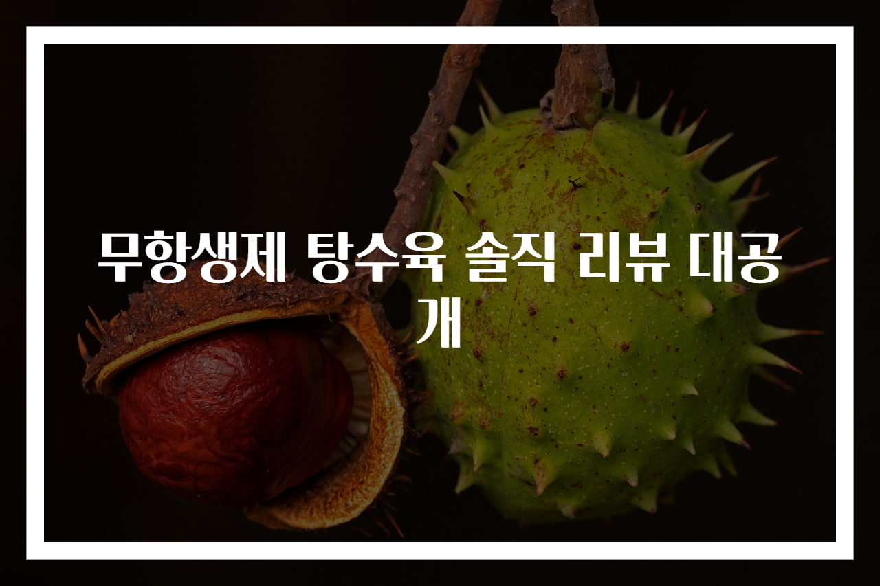 무항생제 탕수육 솔직 리뷰 대공개