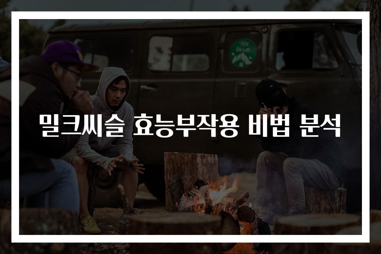 밀크씨슬 효능부작용 비법 분석