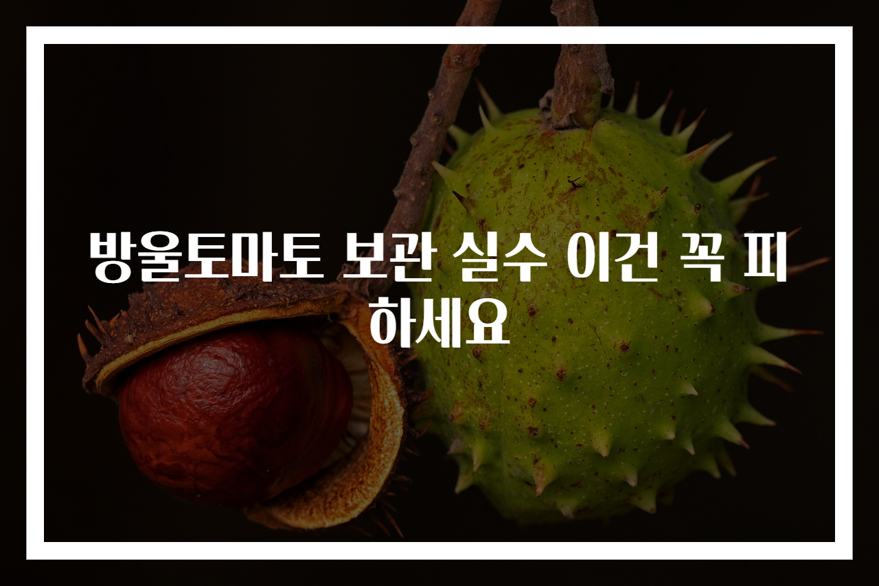 방울토마토 보관 실수 이건 꼭 피하세요