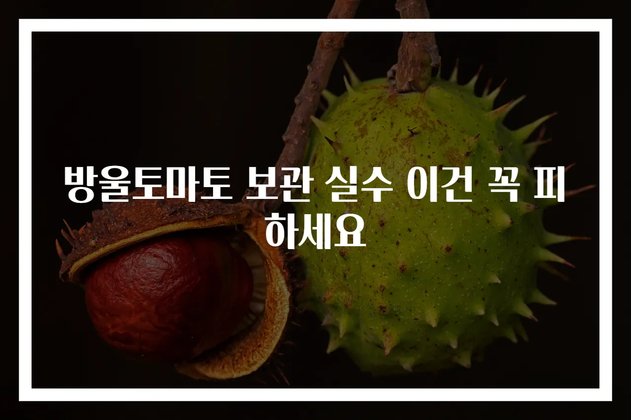 방울토마토 보관 실수 이건 꼭 피하세요