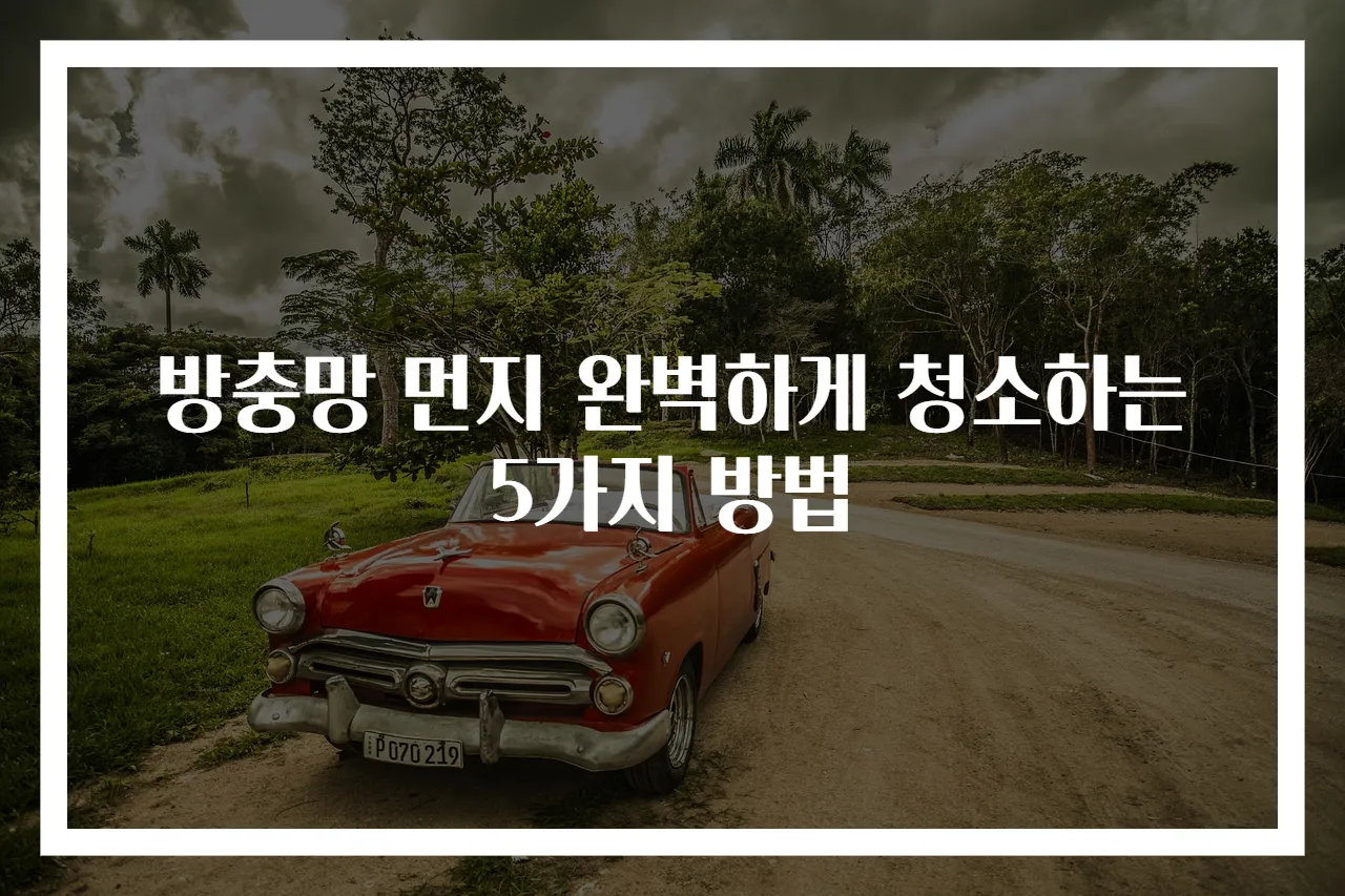 방충망 먼지 완벽하게 청소하는 5가지 방법