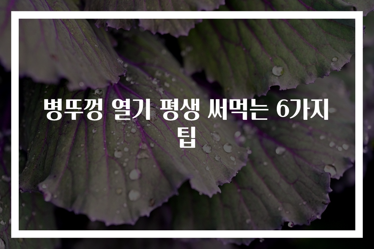 병뚜껑 열기 평생 써먹는 6가지 팁