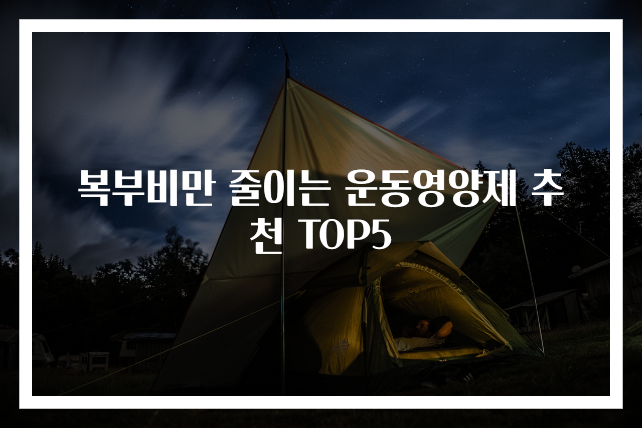 복부비만 줄이는 운동영양제 추천 TOP5