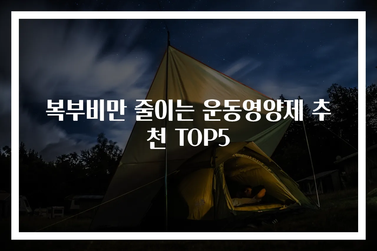 복부비만 줄이는 운동영양제 추천 TOP5