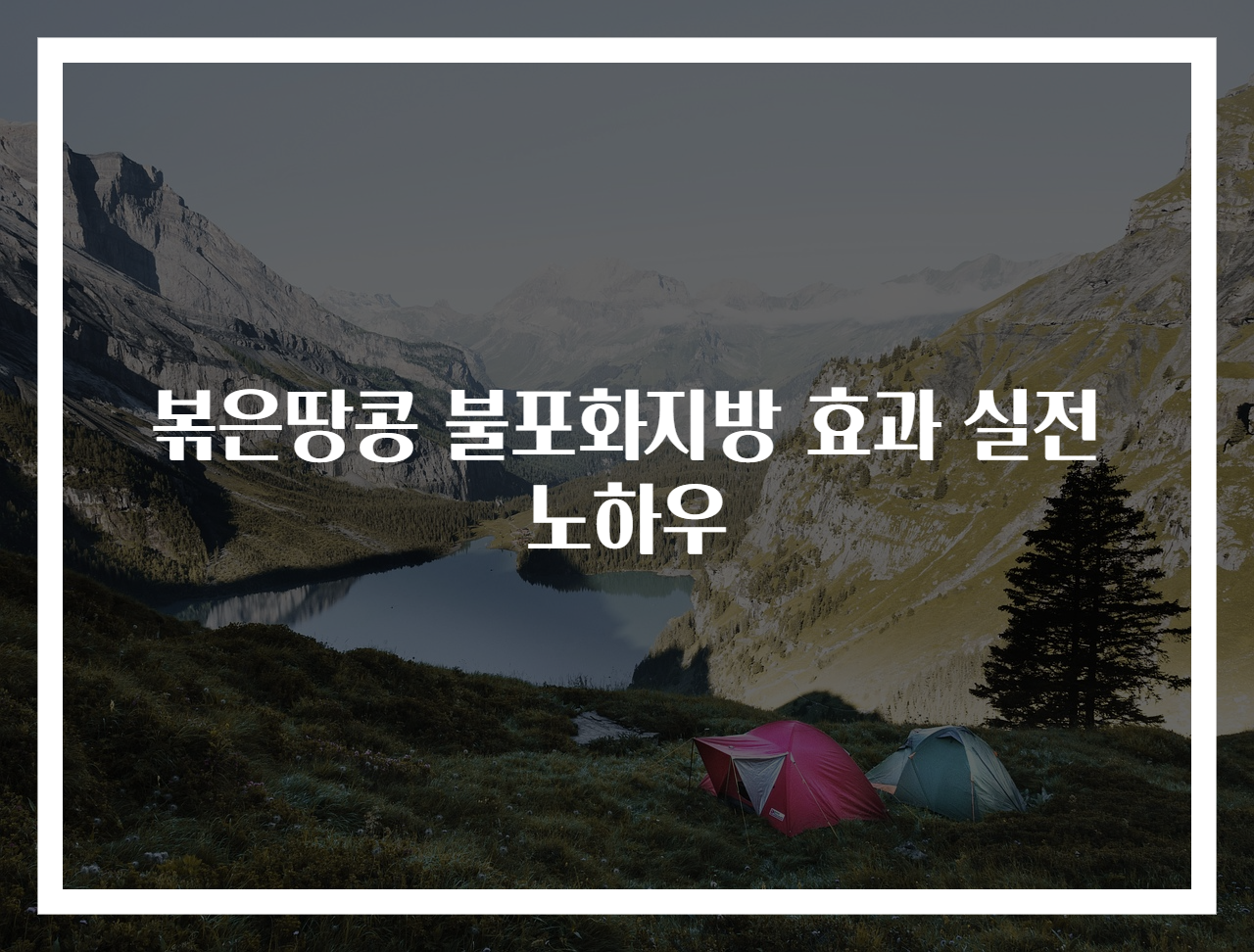 볶은땅콩 불포화지방 효과 실전 노하우