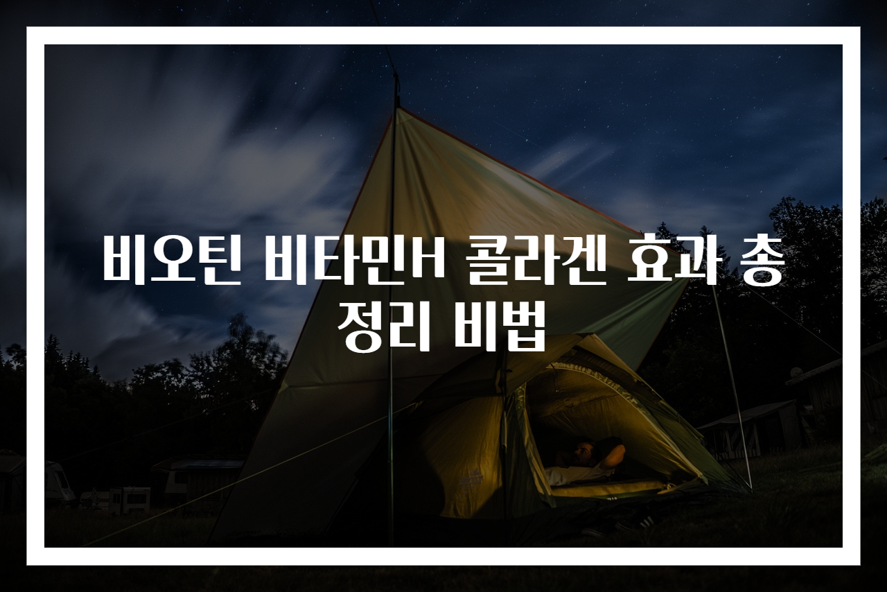 비오틴 비타민H 콜라겐 효과 총정리 비법