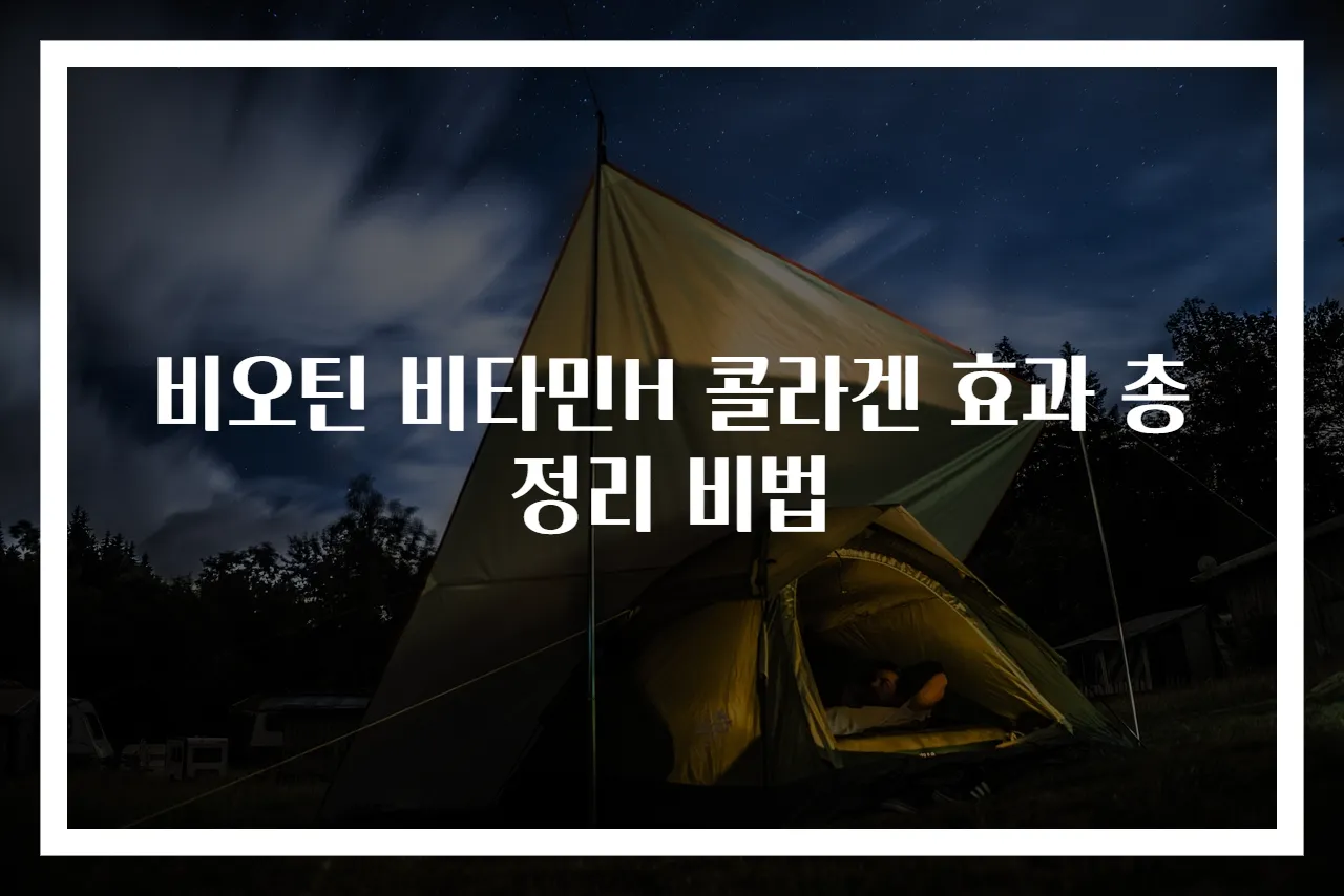 비오틴 비타민H 콜라겐 효과 총정리 비법