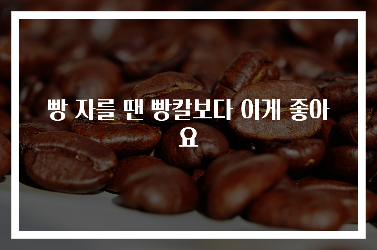 빵 자를 땐 빵칼보다 이게 좋아요