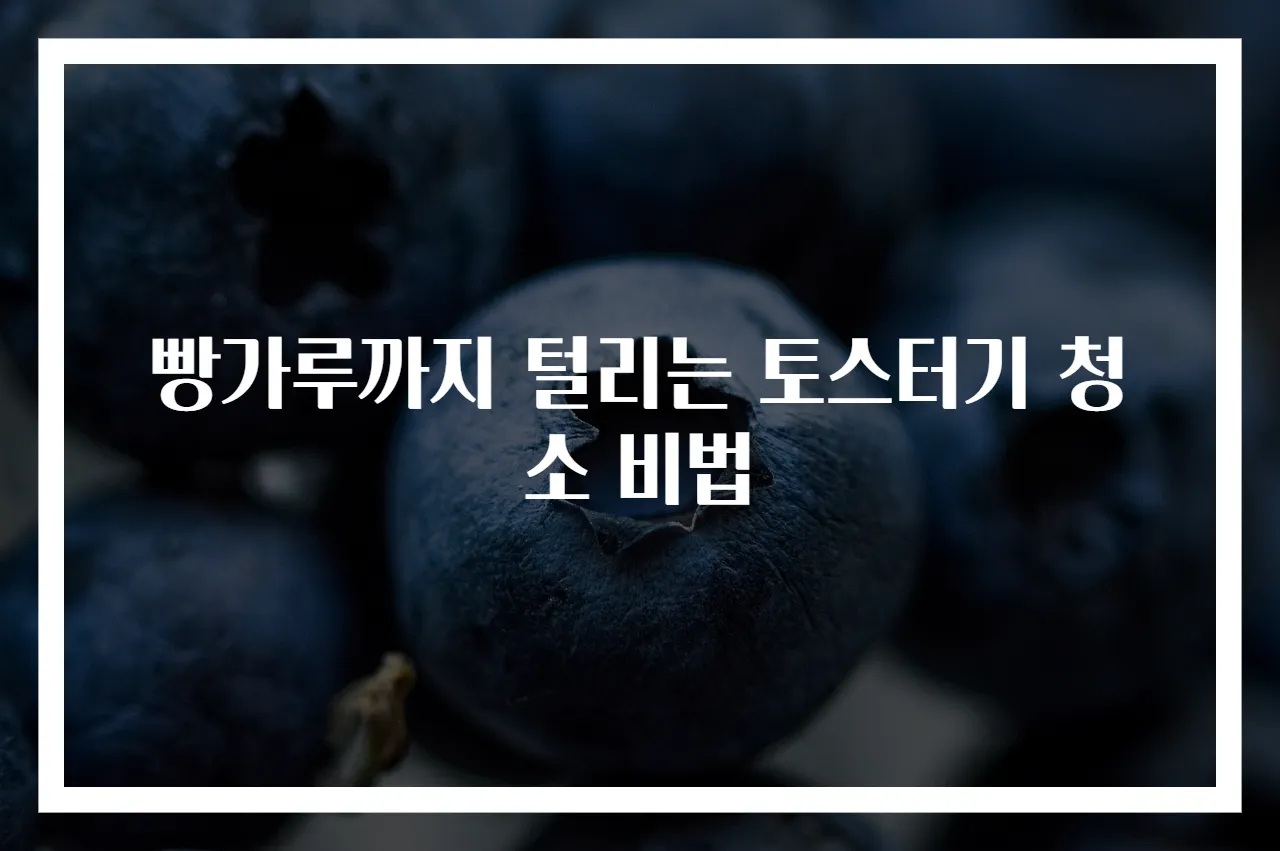 빵가루까지 털리는 토스터기 청소 비법