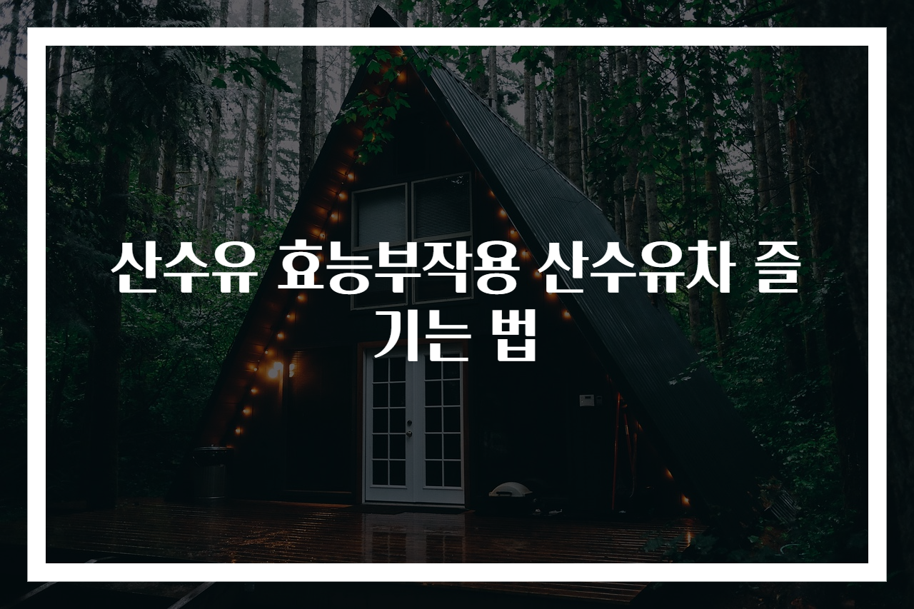 산수유 효능부작용 산수유차 즐기는 법