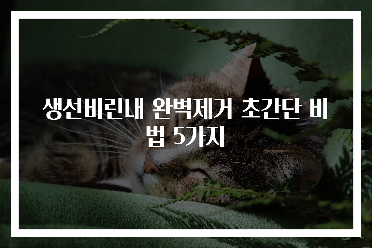 생선비린내 완벽제거 초간단 비법 5가지
