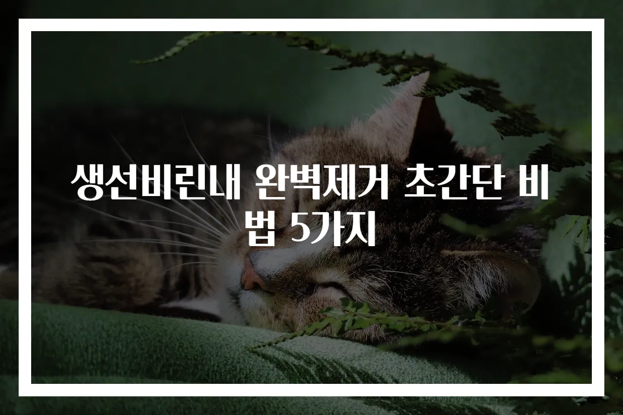 생선비린내 완벽제거 초간단 비법 5가지