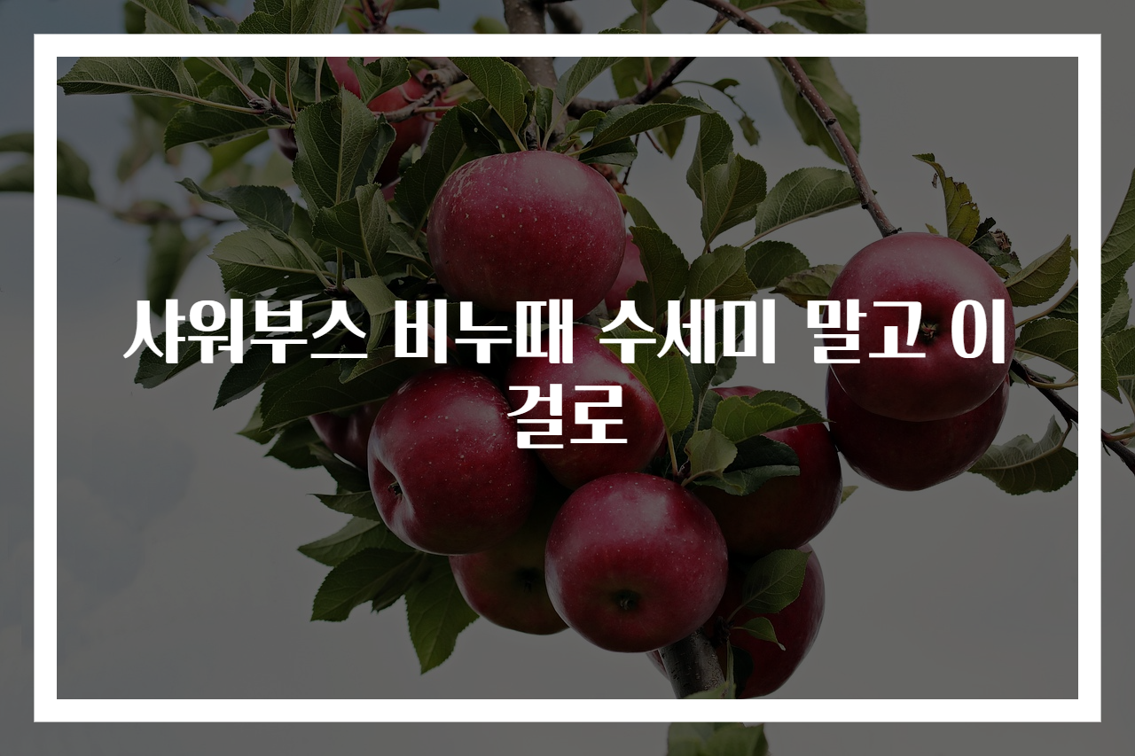샤워부스 비누때 수세미 말고 이걸로