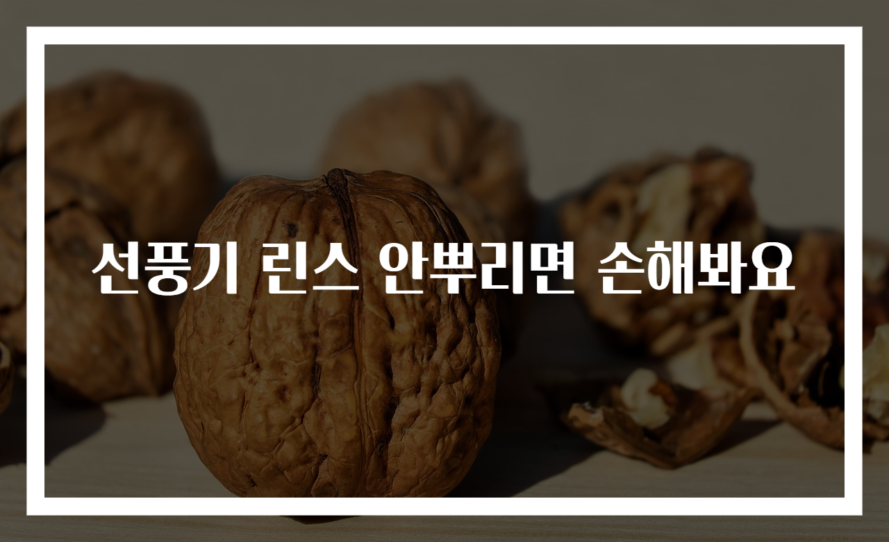 선풍기 린스 안뿌리면 손해봐요