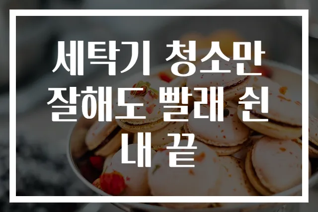 세탁기 청소만 잘해도 빨래 쉰내 끝