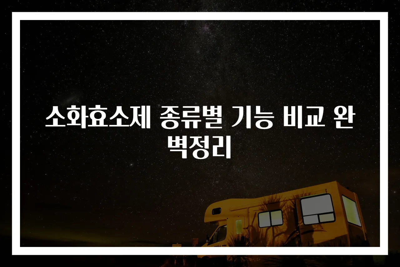 소화효소제 종류별 기능 비교 완벽정리